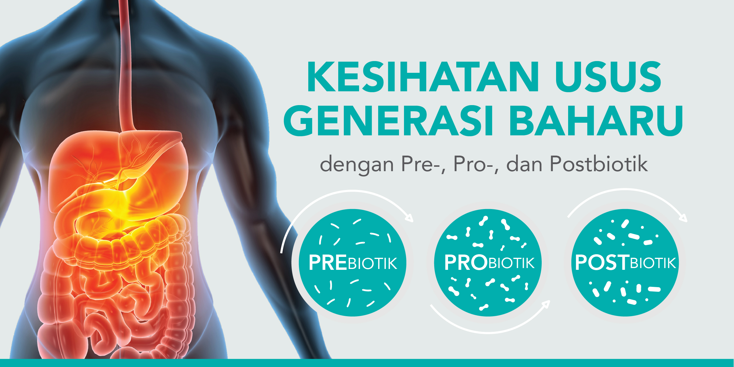 Pre-, Pro-, dan Postbiotik: Kesihatan Usus Generasi Baharu
