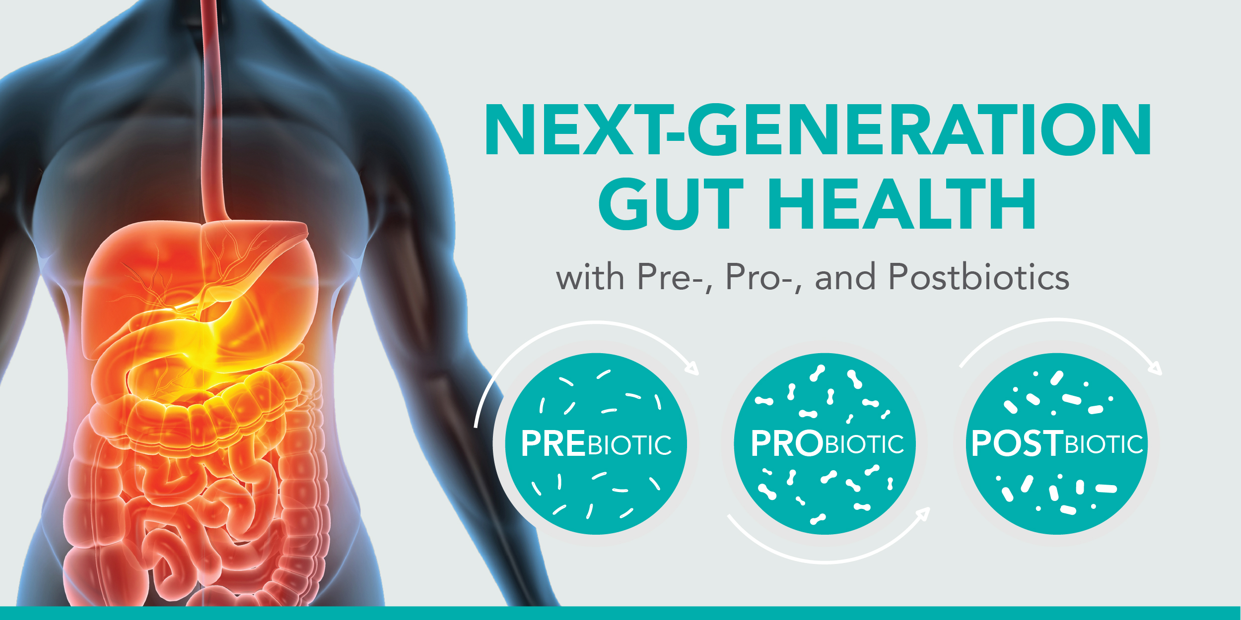 Pre-, Pro-, and Postbiotics The Next Generation Gut Health