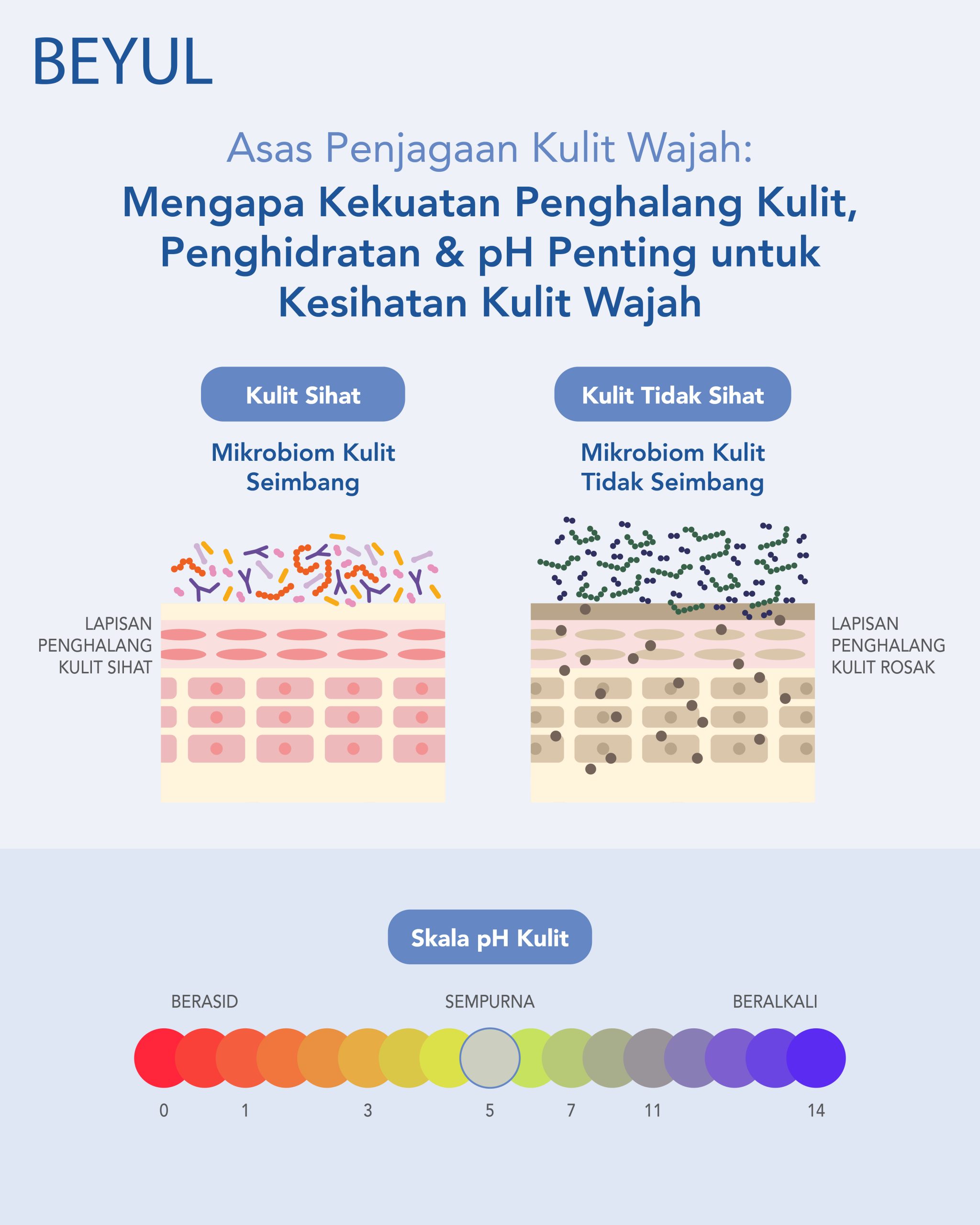Asas Kulit: Mengapa kekuatan lapisan pelindung kulit, Penghidratan & pH Penting untuk Kesihatan Kulit