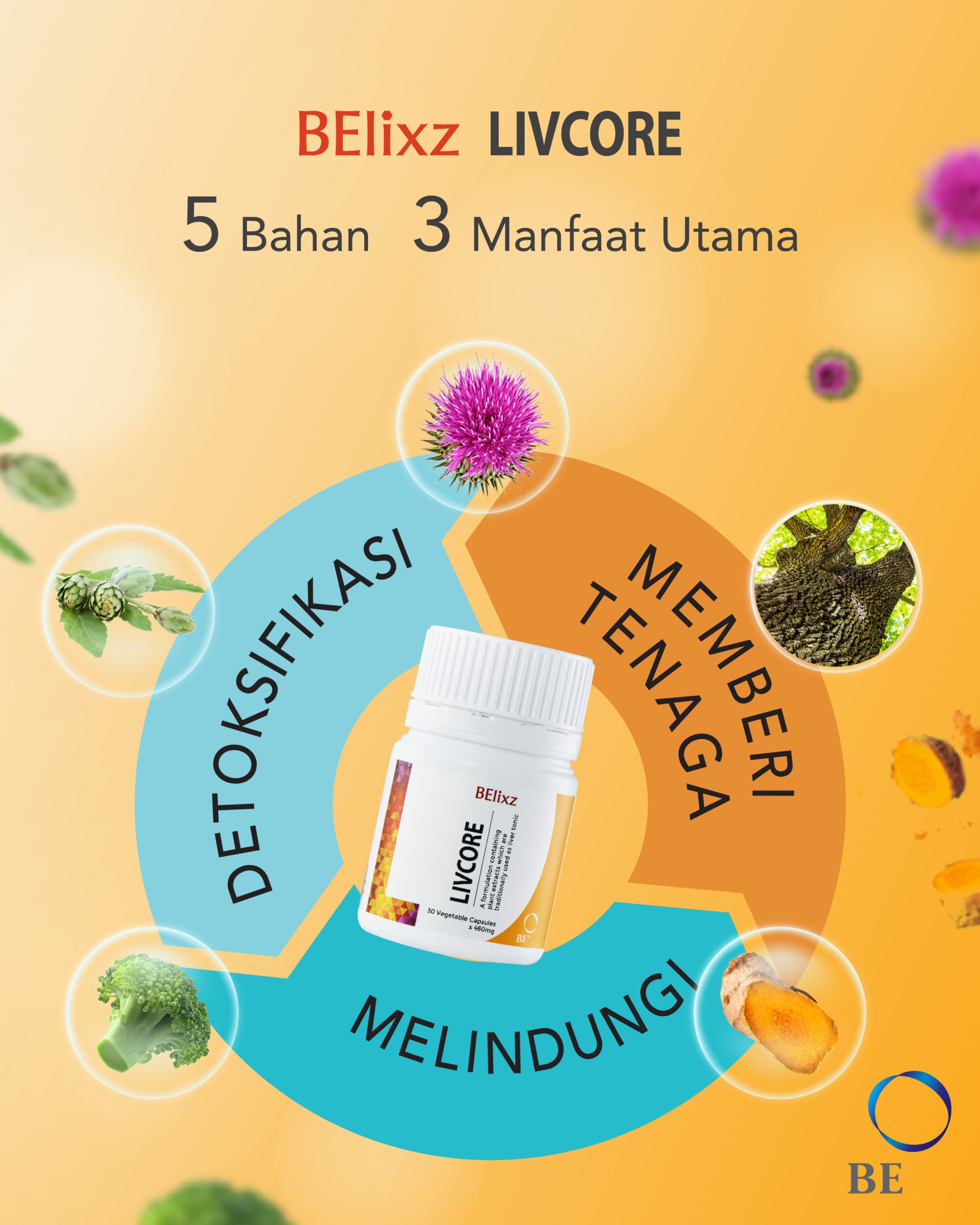 Panduan BElixz LIVCORE: Sokongan Semula Jadi untuk Hati, Bahan & Manfaat