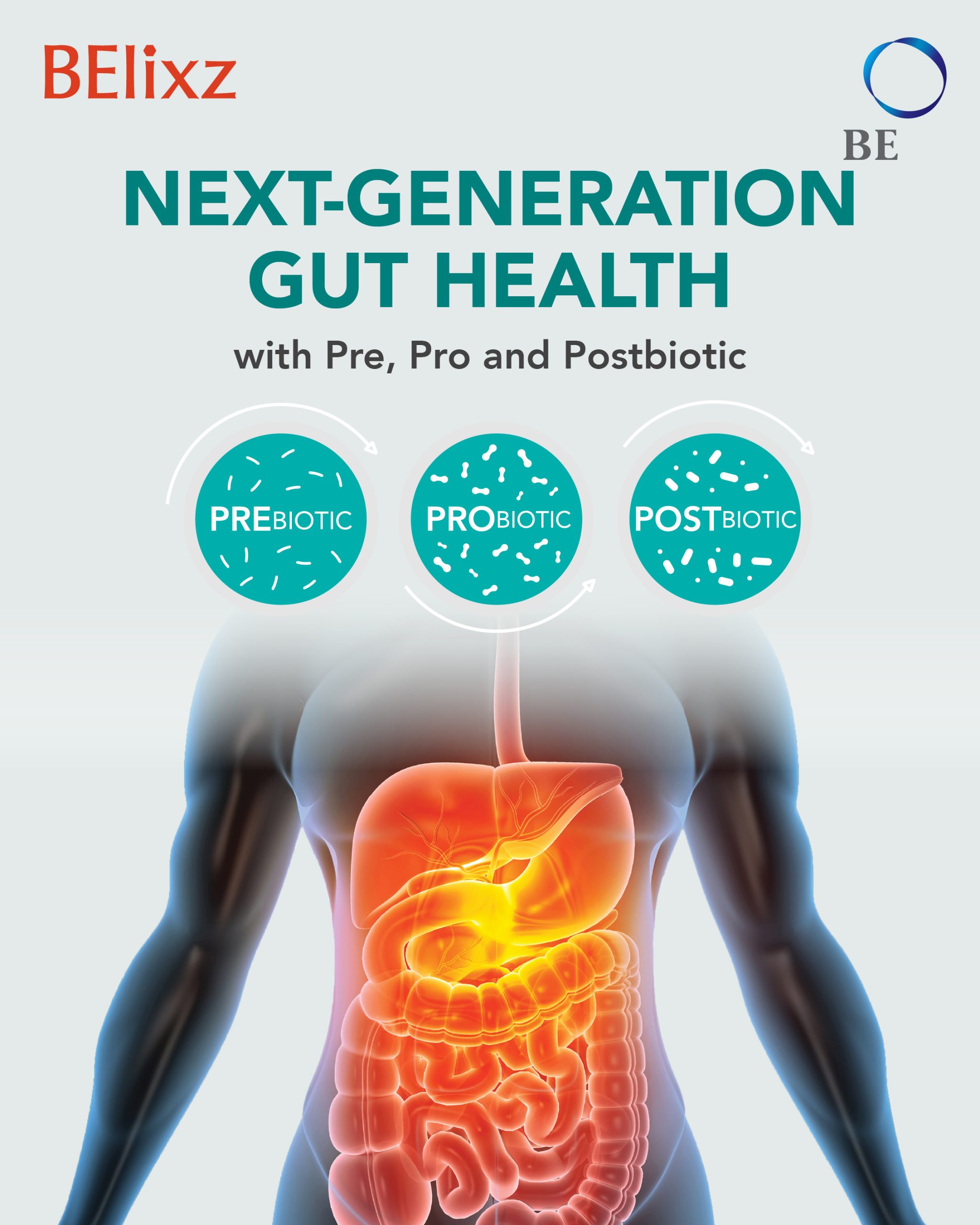 How Prebiotics, Probiotics, and Postbiotics Transform Gut Health